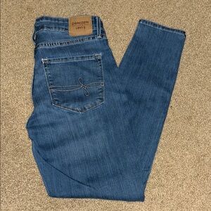Denizen Levi's Skinny Blue Jeans